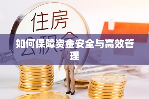 炉霍如何保障资金安全与高效管理