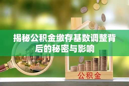 炉霍揭秘公积金缴存基数调整背后的秘密与影响