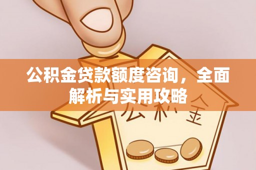 炉霍公积金贷款额度咨询，全面解析与实用攻略