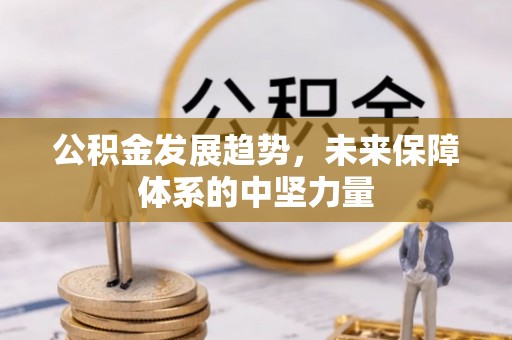 炉霍公积金发展趋势，未来保障体系的中坚力量