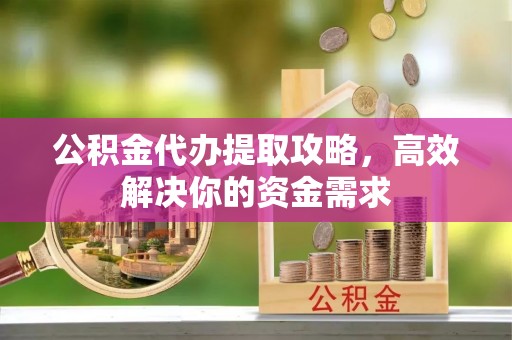炉霍公积金代办提取攻略，高效解决你的资金需求
