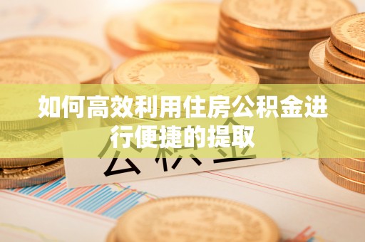 炉霍如何高效利用住房公积金进行便捷的提取